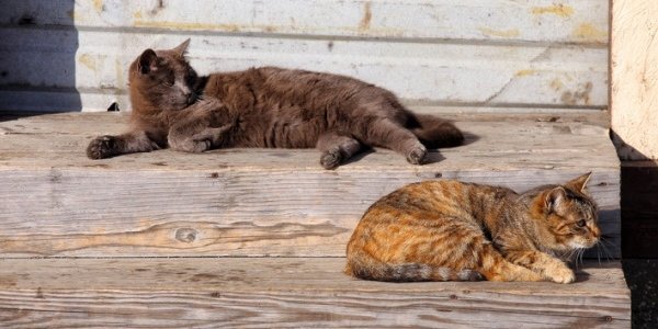 Завтра днём морозы отступят от Приморья