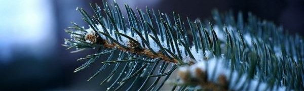 Зимой растёт смертность от сердечно-сосудистых заболеваний