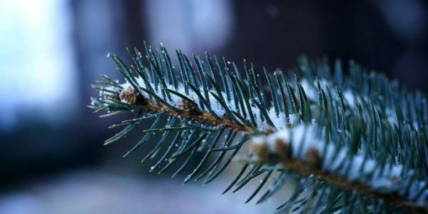 Зимой растёт смертность от сердечно-сосудистых заболеваний