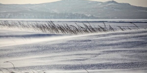 В Приморье установился снежный покров