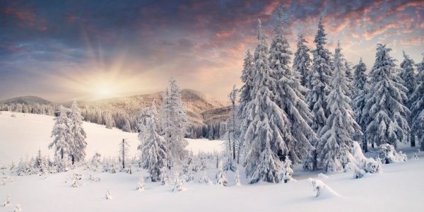 Якутию охватили аномальные 40-градусные морозы