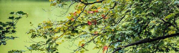 Всю неделю температура воздуха в Приморье была ниже климатической нормы 