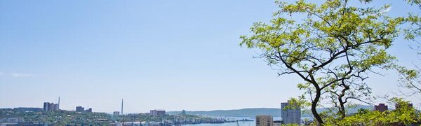 В Приморье потеплеет на следующей неделе