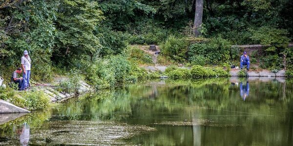 Пока тайфуны не угрожают Приморью