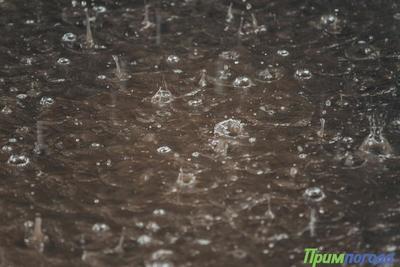 Дожди, местами сильные, испортят погоду в Приморье в среду