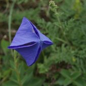 Август в Сихотэ-Алинском заповеднике — лето закончилось