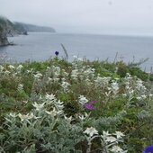 Август в Сихотэ-Алинском заповеднике — лето закончилось