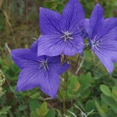 Август в Сихотэ-Алинском заповеднике — лето закончилось