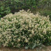 Август в Сихотэ-Алинском заповеднике — лето закончилось