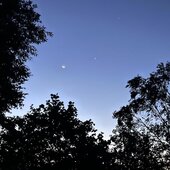 Август в Сихотэ-Алинском заповеднике — лето закончилось