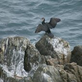 Август в Сихотэ-Алинском заповеднике — лето закончилось