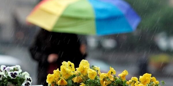 Дожди различной интенсивности, в отдельных районах Приморья ливни с грозами: прогноз погоды на пятницу