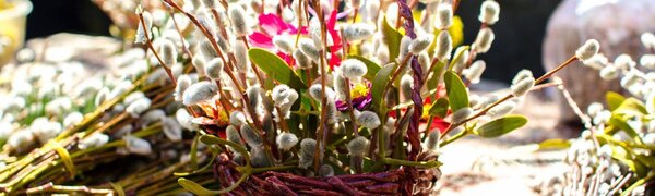 Какая погода будет в Приморье на Пасху