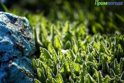 Тепло на континенте, прохлада на побережье: всё о погоде в Приморье во вторник