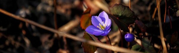 Умеренно теплая погода была в Приморье на выходных