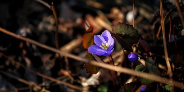 Умеренно теплая погода была в Приморье на выходных