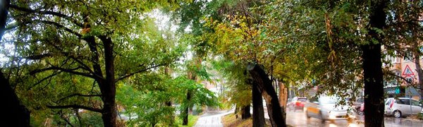 В выходные во Владивостоке состоится фестиваль спортивного туризма