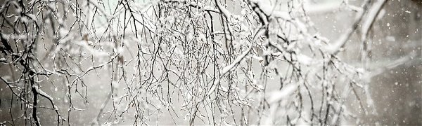 МЧС Приморья напомнило жителям края о мерах безопасности в снегопад