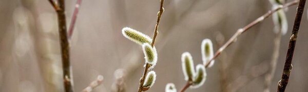 До +7°С прогреется воздух в Приморье в пятницу