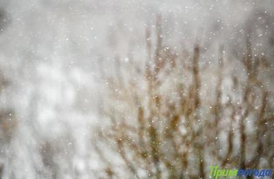 Дождь со снегом прошли в Приморье в среду