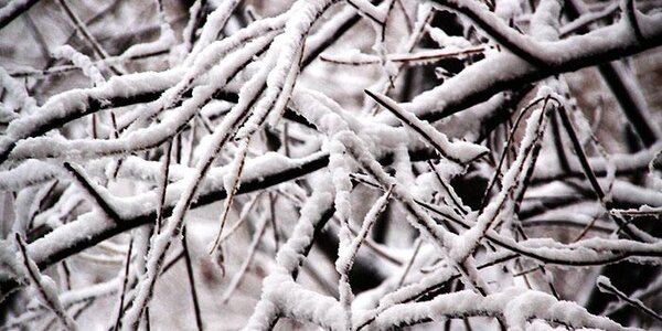 На этой неделе спокойной погоды в Приморье не предвидится