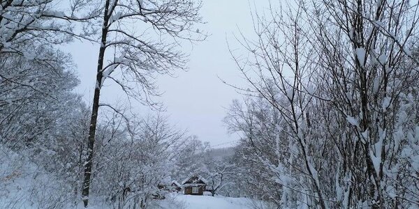 Сегодня наиболее интенсивные осадки ожидаются на побережье Тернейского района