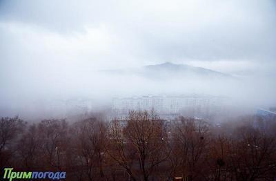 Дождь со снегом в Приморье, туман и сырость во Владивостоке: всё о погоде в среду
