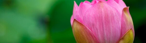 Синоптики рассказали о погоде в начале следующей недели