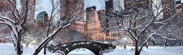 Снежная буря накрыла Нью-Йорк (ВИДЕО)