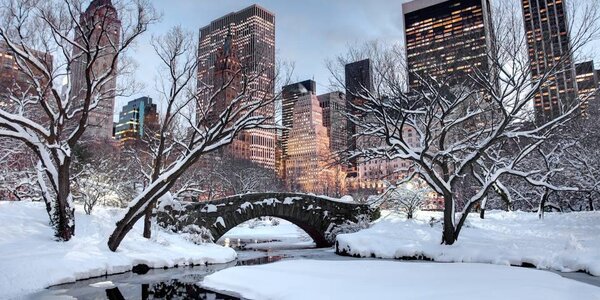 Снежная буря накрыла Нью-Йорк (ВИДЕО)