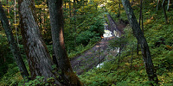 Вчера днем над Приморьем находились атмосферные фронты