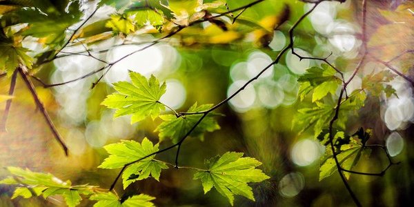 Синоптики обещают жителям Приморья тёплую неделю