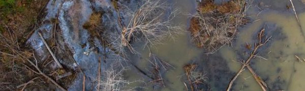 Режим ЧС продолжает действовать в 16 районах Приморья