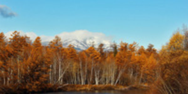 Инфографика: Ноябрь в числах