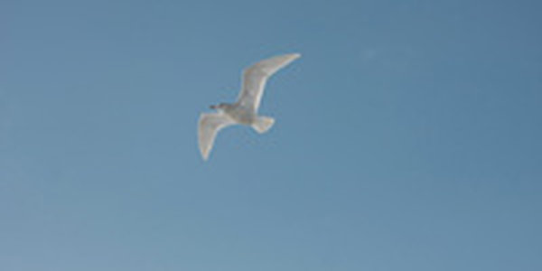 Завтра в крае пройдет небольшой дождь, местами со снегом