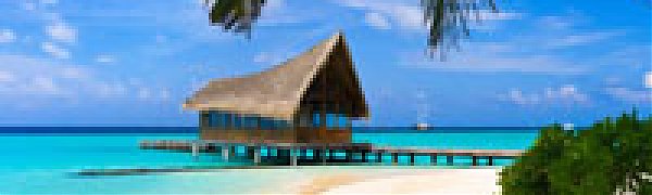 Климат Гавайских островов становится все более неблагоприятным