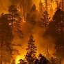 В Приморье повысились показатели пожароопасности леса