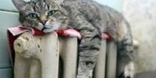 Окончание отопительного сезона во Владивостоке пройдет в обычные сроки