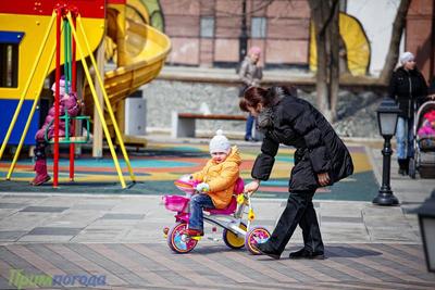 К пятнице во Владивостоке потеплеет до +6 °C