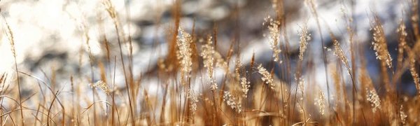 Прошедшая зима признана одной из самых тёплых в истории Приморья