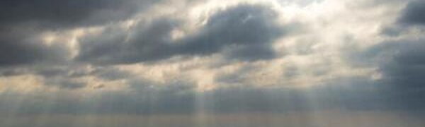 До +29°С прогрелся воздух во Владивостоке в четверг