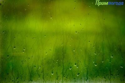 Первая неделя августа будет дождливой в Приморье