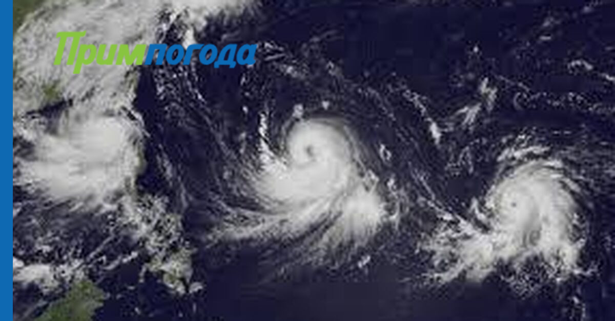 Тропический тайфун. Тропические циклоны Тайфуны. Тайфуны в тихом океане. Штормы и ураганы в тихом океане. Шторм и Тайфун.
