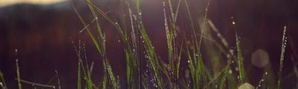 Неустойчивая погода будет в Приморье в первые выходные августа