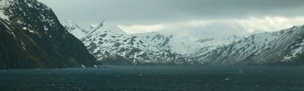 Тайфун «Нури» может стать крупнейшим в этом году