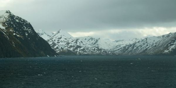 Тайфун «Нури» может стать крупнейшим в этом году