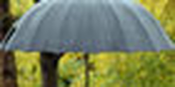 В Приморском крае прохладно и дождливо