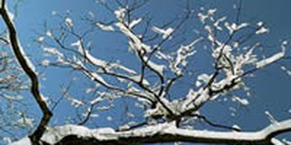 За сутки в Москве насмерть замерзли два человека 