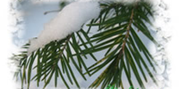 Возможно, завтра во Владивостоке пойдет снег