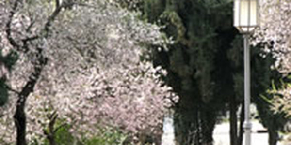 К Приморью торопится циклон